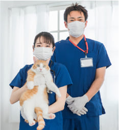 動物病院の成功事例